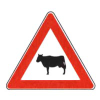 Immagine del quesito